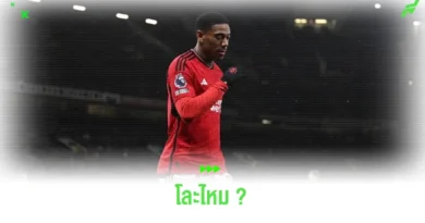 เทน ฮาก